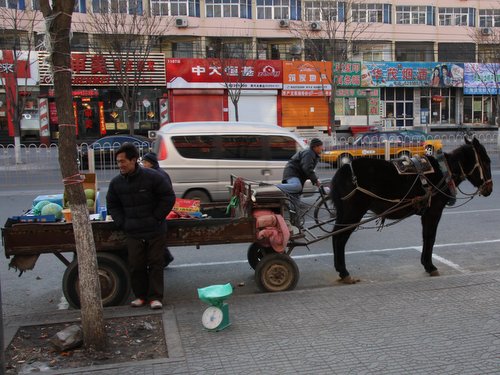 8Beijing Traffic Horse Utility Cart