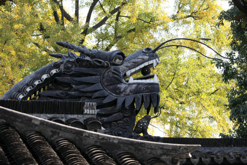 yu gardens dragon