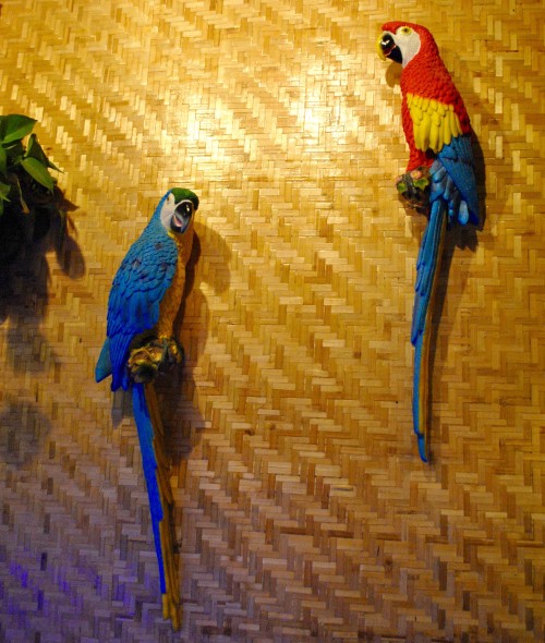 Bungalow parrots