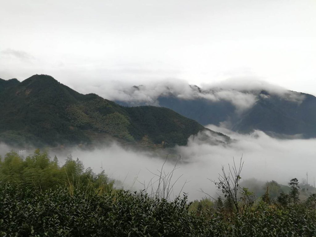 Chenjiapu Village