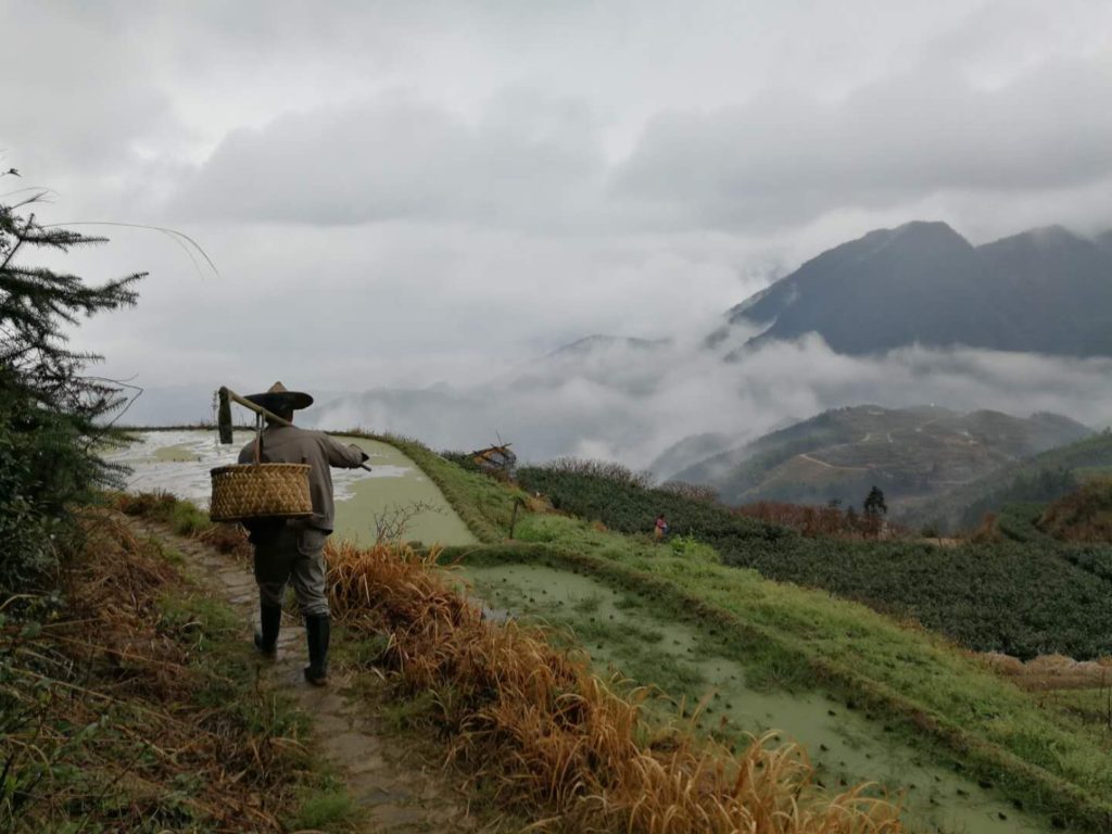 Chenjiapu Village