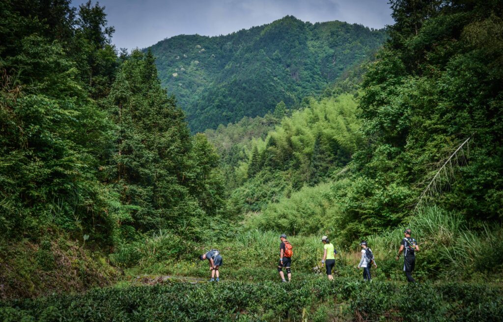 Huangshan